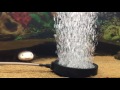 Ausstrmer im axolotlbecken   bubble air stone for axolotl  latinaric