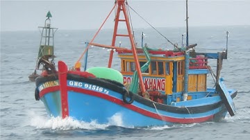 Ghe cào Quảng Ngãi vào đảo Phú Quý trú gió không khí lạnh
