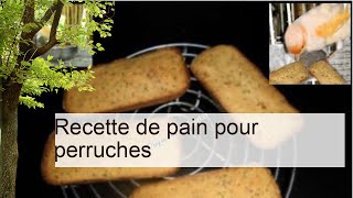 Recette de pain pour perruches | Recettes | Perruches