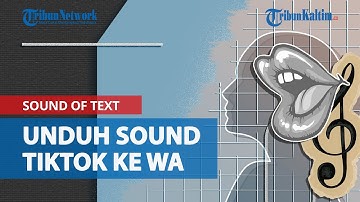Cara Buat Sound of Text, Nada Dering Whatsapp Menggunakan Suara dari Tiktok