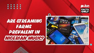 Are Streaming Farms Prevalent In Nigerian Music? | Pulse Facts Only
