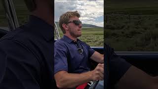 Superformance Mkiii Cobra