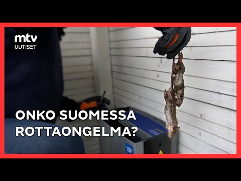 Video: Voinko kiivetä Helvellyniin?