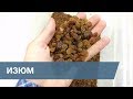 Сортировка Изюма / Raisins Sorting