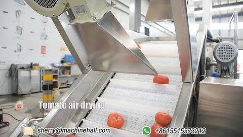 Tomato Paste Processing Line