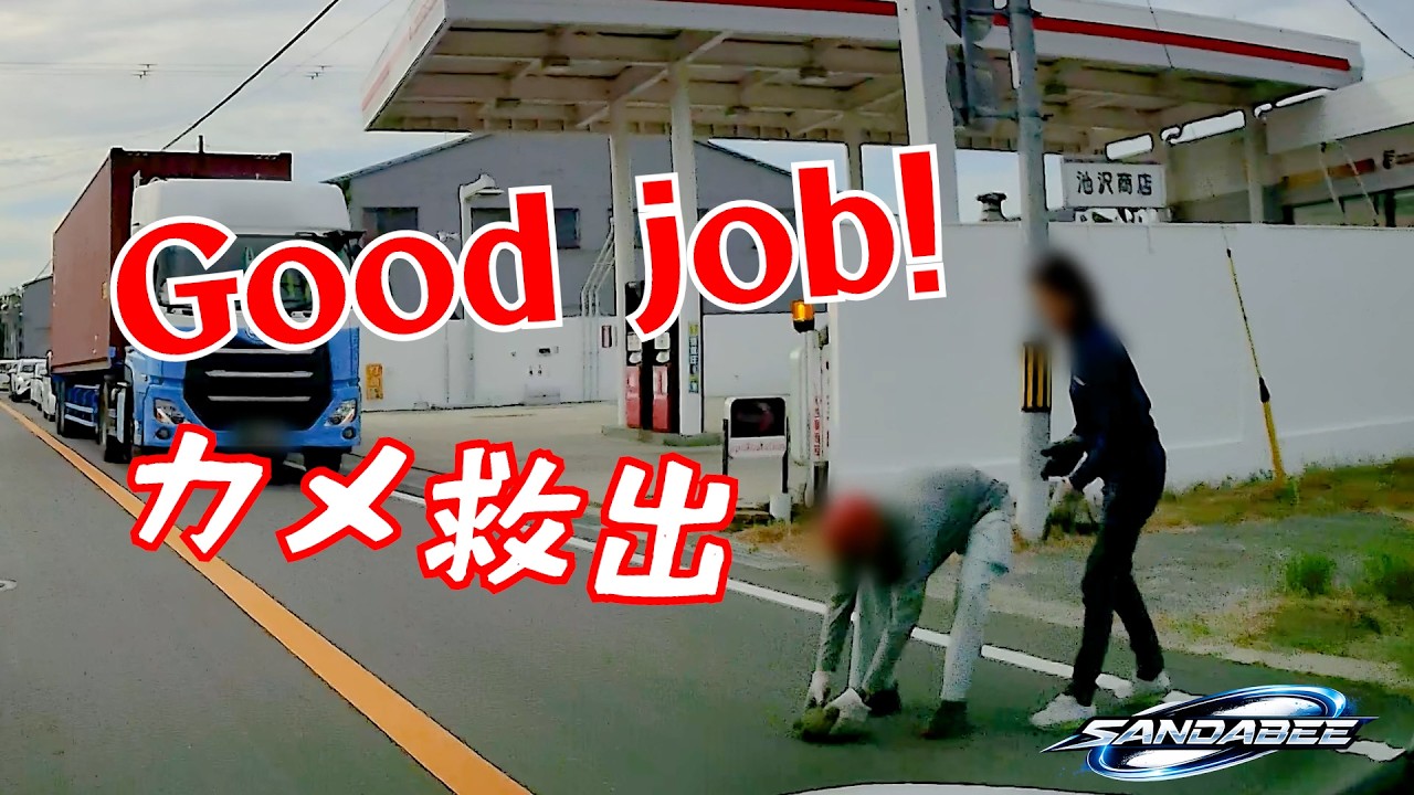 ハザード点けて道路に停車たトラックがなにやってるのかな?と近づくと、運転手さんが降りてきて道路上のカメを助けに近づいたが・・・。