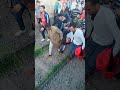 حادث قطار فى محطة كفر الدوار بقطع رجل اثناء عبور السكة الحديدا فى كفر الدوار