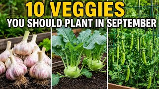10 Vegetables You Should Plant in September ASAP 