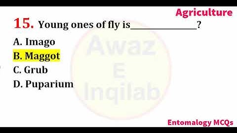 entomology mcqs with answers | general entomology mcqs | entomology questions and answers