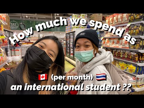 อยู่แคนาดาใช้เงินเท่าไหร่ + ทำอาหารไทยกินเอง | t&t supermarket vlog🥬