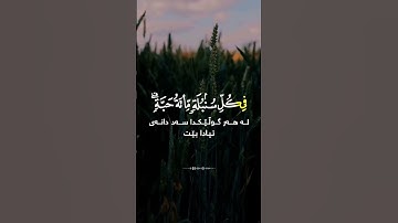#تلاوة_خاشعة آيات من كتاب الله راحة لقلبك وسمعك #القرآن_الكريم #لايك #الرحمن #اكسبلور #الثامن #duet