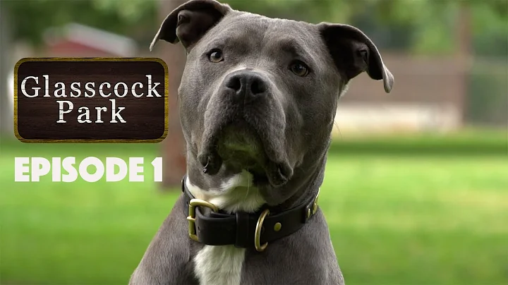 Glasscock Park  Episode 1 DOGzHAUS