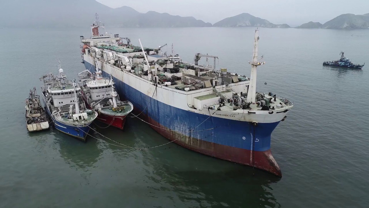 Largest Fish Factory Vessel in the World Arrested and Seized — Sea Shepherd  Conservation Society