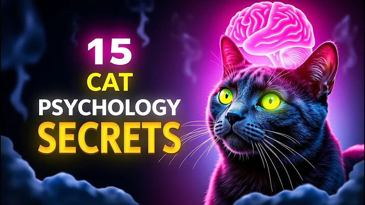 15 Psychology Secrets Your Cat Wishes You Knew 🐾 (Life-Changing Bonding Hacks)