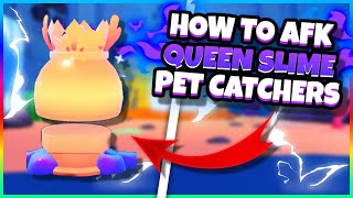 How To AFK Queen Slime Pet Catchers Roblox