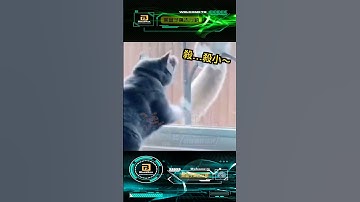 黑盒子廣告 彈跳狗子