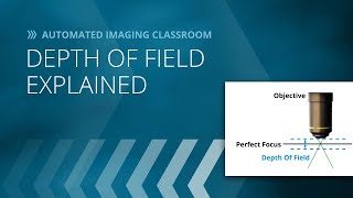 Depth of Field Explained