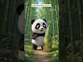 jungle safari with panda