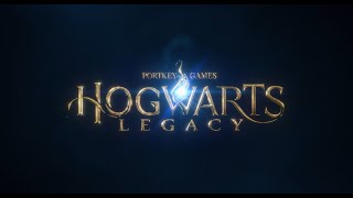 Hogwarts Legacy Сумка хватай! Кота Пихай!