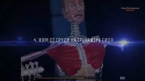 ГРУДНЫЕ МЫШЦЫ. 5 БАЗОВЫХ УПРАЖНЕНИЙ.  + ОШИБКИ УБИВАЮЩИЕ ПРОГРЕСС!