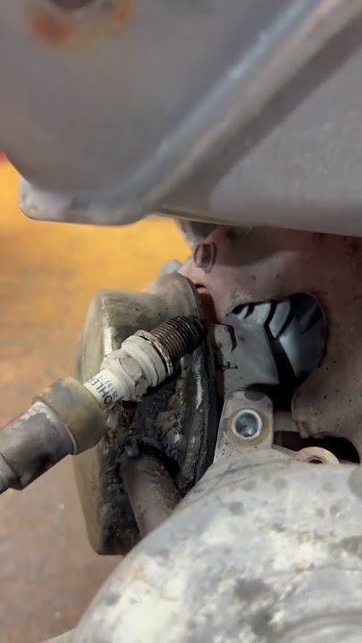 No spark. Is it the spark plug or the coil?