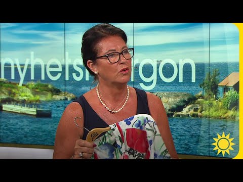 Städ Marlene Så Får Du Bort Sommarens Svettfläckar Nyhetsmorgon TV4 TV4 Play
