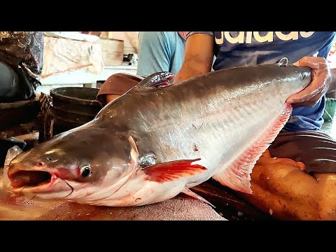 Amazing Live Pangasius Fish Skinning & Cutting In Fish Market | Fish Cutting Skills