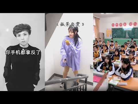 小三金唱《孤芳自賞》，龍寧兒嗓音迷人，這個班級的孩子太厲害！