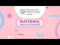 Maternal Mental Health