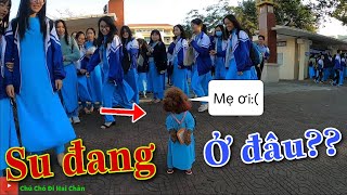 Tập 6: Lý do Su xí xọn MẤT TÍCH khi đi học Cấp 3 | Chú chó đi hai chân | Dog walking on two leg