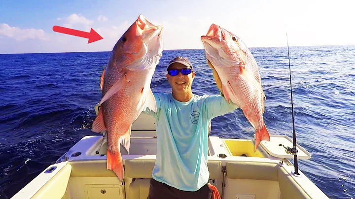 Fishing for RED SNAPPER and GROUPER in the Gulf of Mexico! [Tips and Techniques]