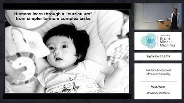 A distributional point of view on hierarchy