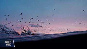 High Risk and High Reward of Undersea Cables