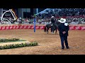 Gran Campeonato Yeguas De Paso Fino Colombiano, Silindia VS Encantadora