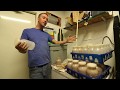 Gourmet Mushroom Bottle Trials with Lions Mane Mushrooms