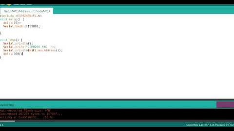 NodeMcu ESP8266 MAC Address