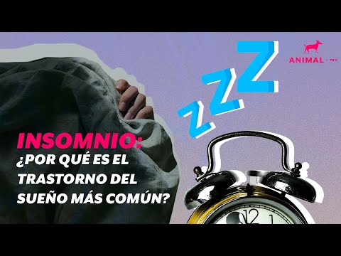 ¿Cómo quitar el