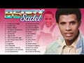 BENNY SADEL | SUPER MIX MERENGUE CLÁSICO PARA BAILAR