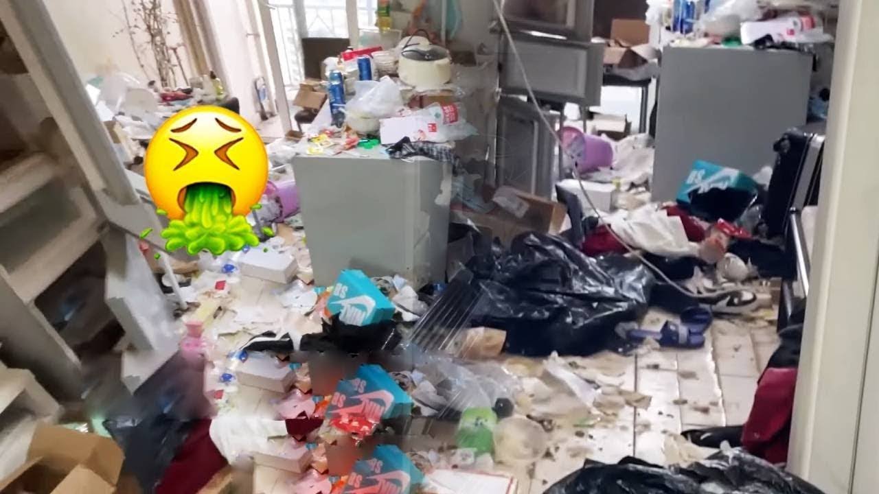 هل يمكنك أن تصدق أن هذا هو في الواقع منزل مدون الحيوانات الأليفة؟