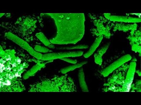 Video: I 2050 Vil Superbugs Drepe 10 Millioner Mennesker I året - Alternativ Visning