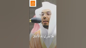 فَلَا تَضْرِبُوا لِلَّهِ الْأَمْثَالَ ۚ  | تلاوة تحبيريه بطبقة الصوت العاليه لـ #غريد_الحرم