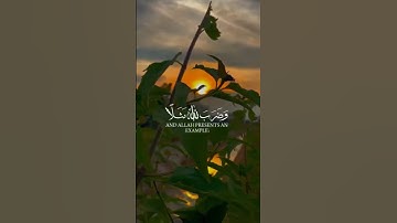 سورة النحل - عبدالرحمن مسعد
