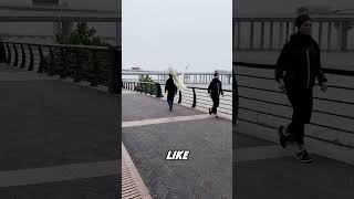 Some Things That Ke Er Ya Wont Tell Youanimals foryou cute fyp