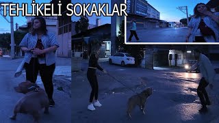 AMERİKAN BULLY İLE GECE TEHLİKELİ SOKAKLARA GİRDİK