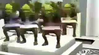 El que no salta es paco