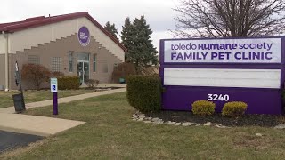 Toledo Humane Society pet clinic helps dogs get past traumatic experiences