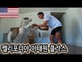 🇺🇸 [60] 켈리포니아 사는 평범한 청년의 삶