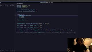 Infinite Refactor 2: WTF is Vibe Coding (Raylib Gamedev in C)