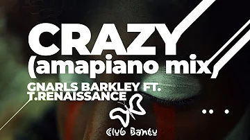 Crazy (Amapiano Remix) | Gnarls Barkley Ft. T.Renaissance