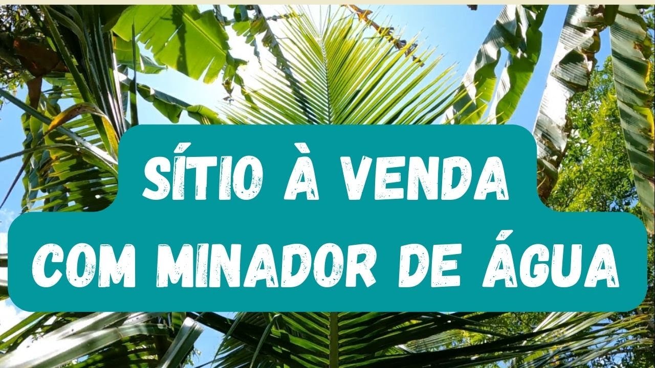 Sítio à venda com minador de água próximo a Terra Vermelha Caruaru Pernambuco